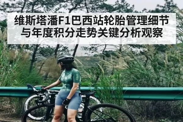 维斯塔潘F1巴西站轮胎管理细节与年度积分走势关键分析观察（RayGaming）